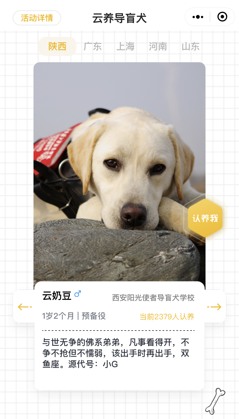 什么是2000万人关注的导盲犬基地？在这里，狗和志愿者才是主角