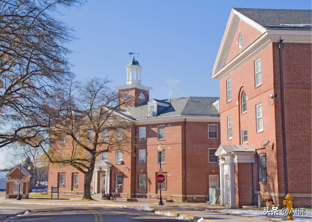 美国最自由的公立大学