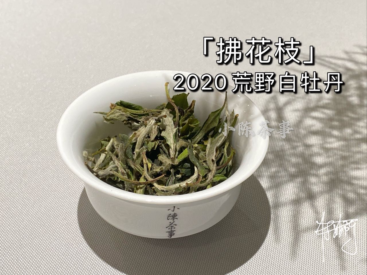 老丛水仙、古树白茶、老树绿茶，泛滥的老丛茶市场，哪些才是真？