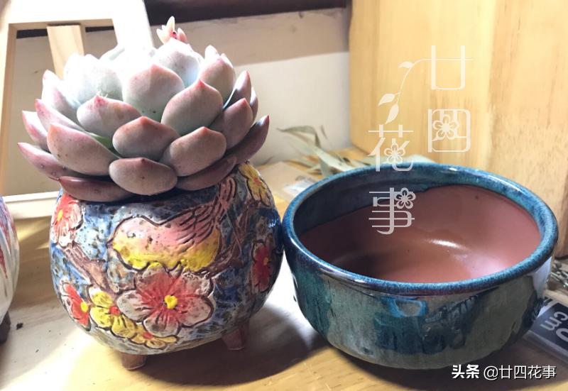 给多肉选花盆,除了看颜值外,还有3个关键指标,直接关系钱包