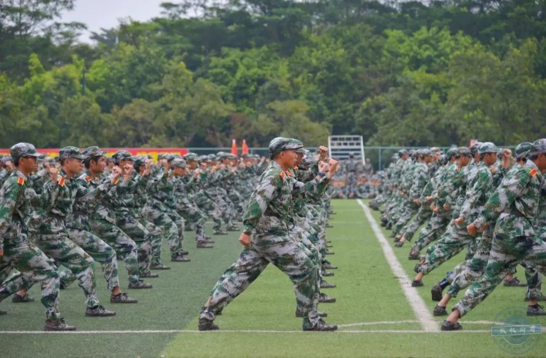 高职高考必看｜全面了解东莞职业技术学院