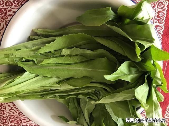 油麦菜可以生吃吗（六步教你做简单好吃炒油麦菜）