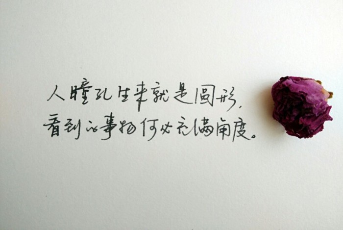 弹一首春夏秋冬，唱着时光的永恒，愿你如爱所愿，成为最幸福的人