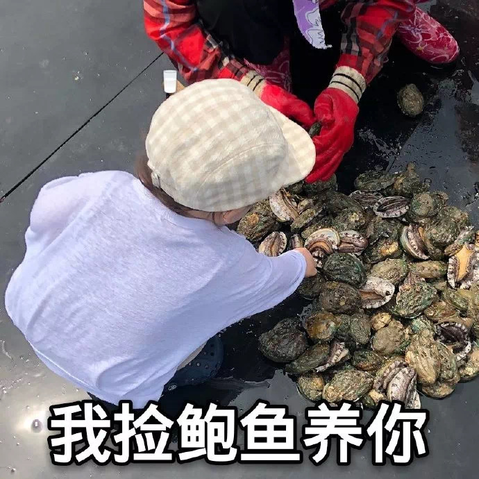 黄夏温表情包：我在开车 不秒回也正常啊