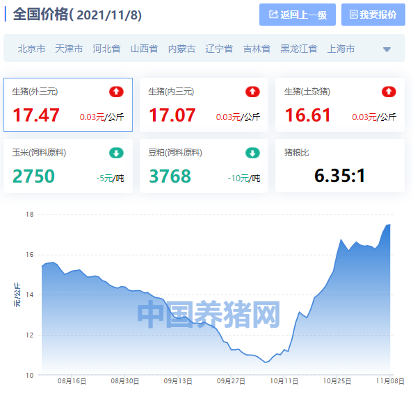 全国生猪价格涨跌表｜2021年11月8日，微涨之下，各地开启大跌