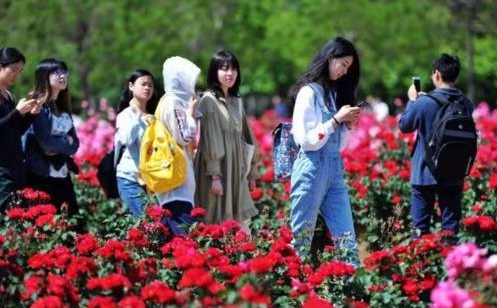 大一期末考试并不难，为啥却有很多大学生挂科？4大原因难避免