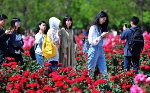 大学挂科正常吗（大一期末考试并不难）