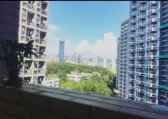 广东最坑爹vs最壕的大学宿舍！你们感受一下，这区别扎心了