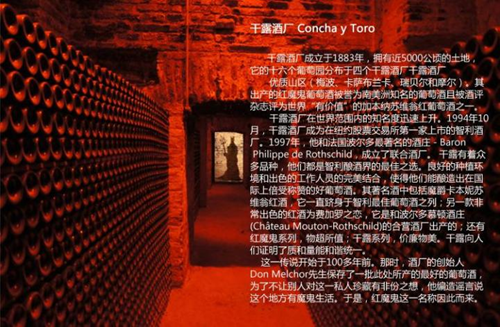 智利十大干红品牌盘点：探索南美葡萄酒王国的经典佳酿