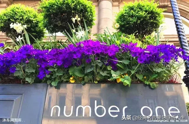 亲情,永远最重要
