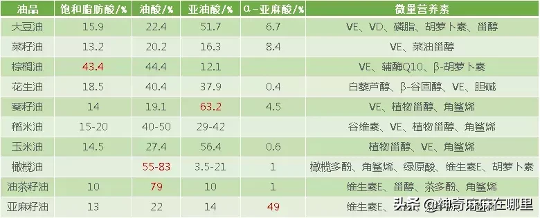 宝宝吃什么油最帮助大脑成长？最强科普贴看这里