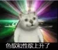 “奇怪的知识增加了！”什么梗？笑到抽搐
