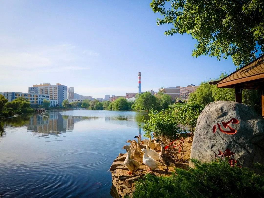 坐拥“专属地铁”，有7大美食集结地！东北这所大学“顶尖”配置太绝！