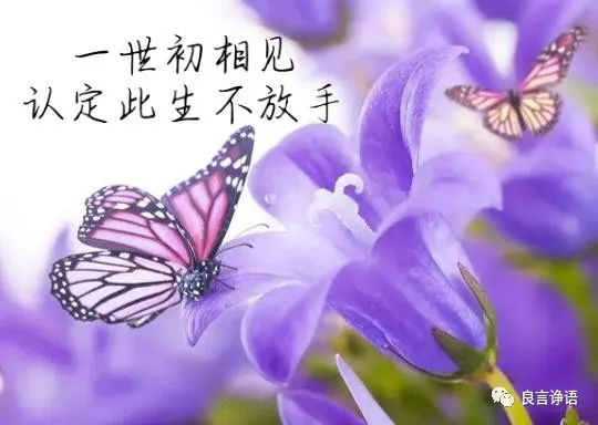 一见倾心缘定三生，相见恨晚爱意更深