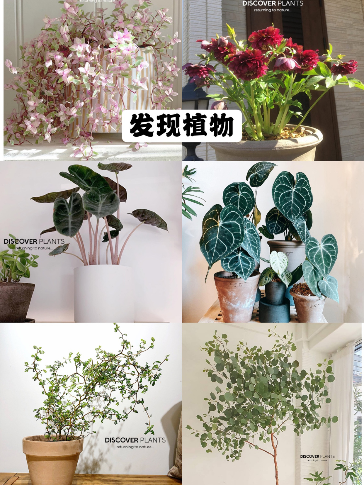 起底国货家居店！别人家好看的秘密，都藏在里面了