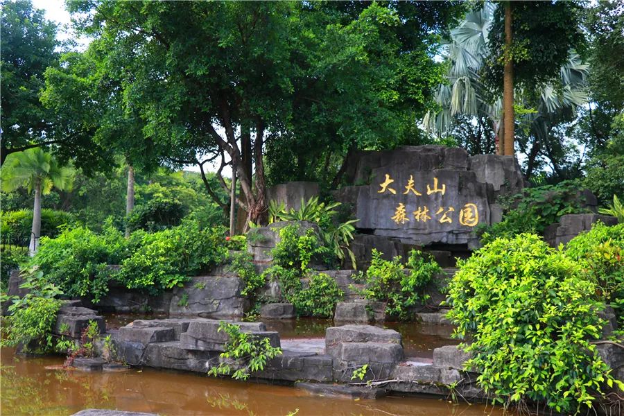 番禺丨Vlog番禺：周末来番禺最美氧吧，湖光倒影里放飞心绪，租个单车玩转它