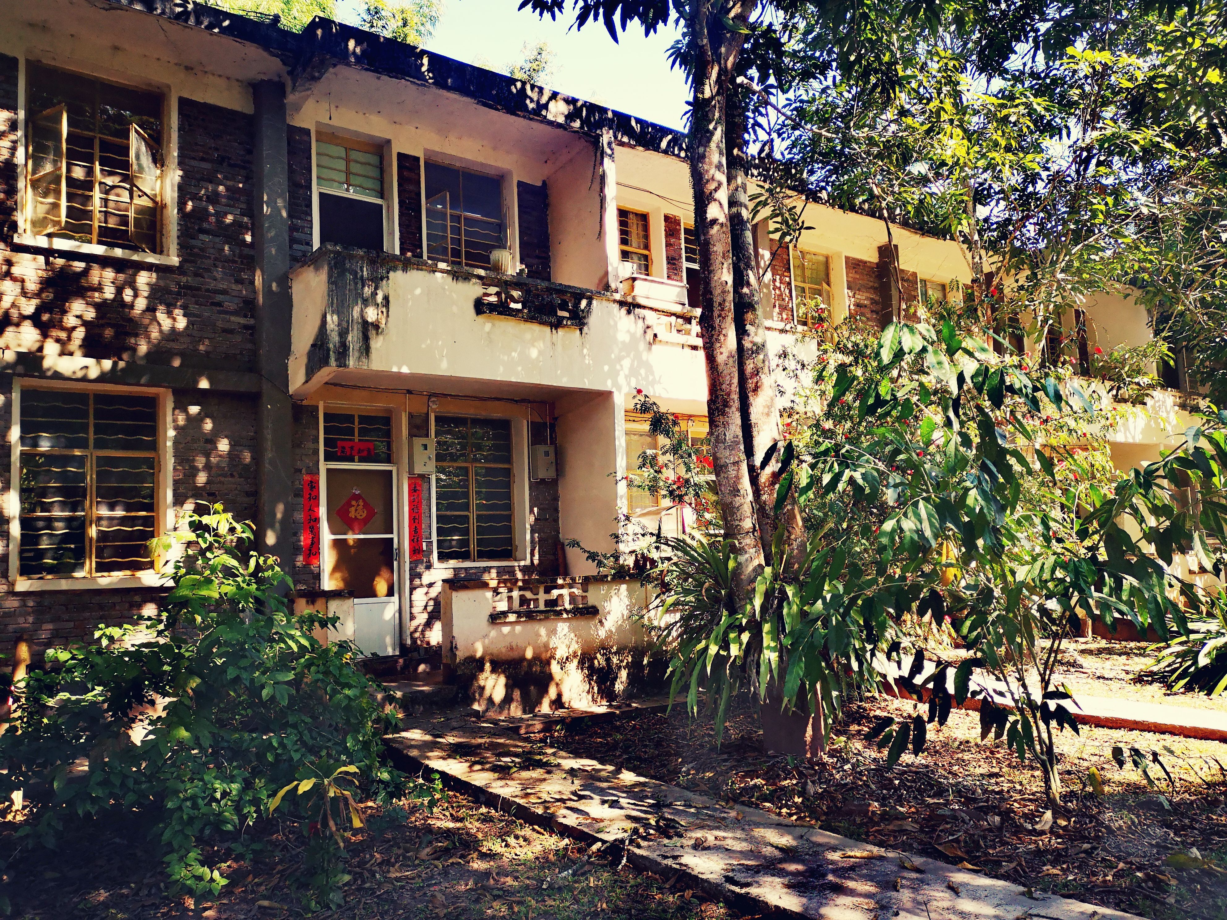 西双版纳8天9晚2600元，中科院热带植物园最详细攻略看这一篇就够