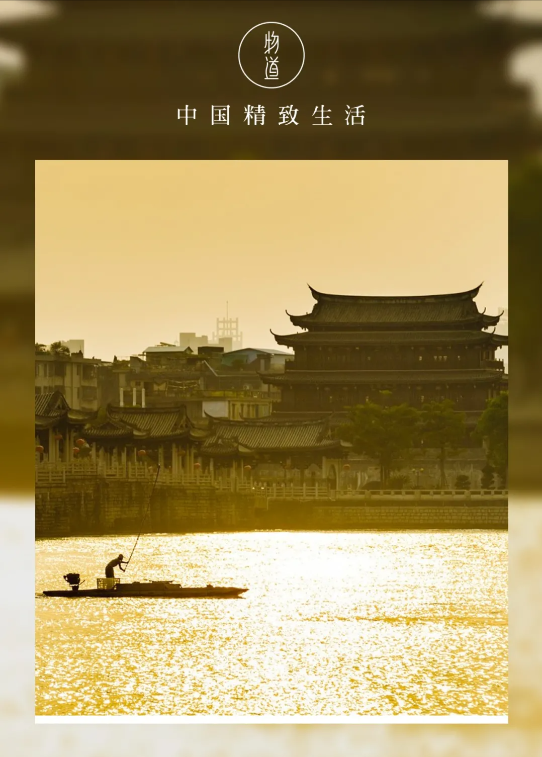为什么越来越多人喜欢潮汕？