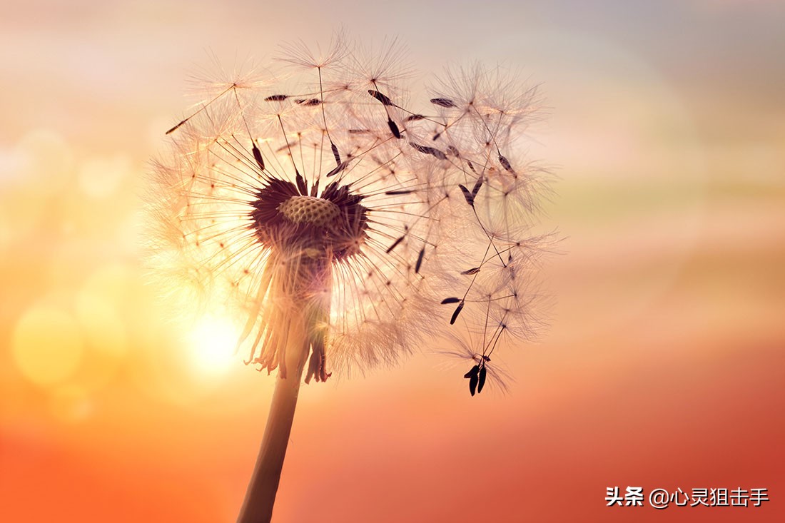 一句话打动人心的爱情，100句经典唯美的爱情语录图片
