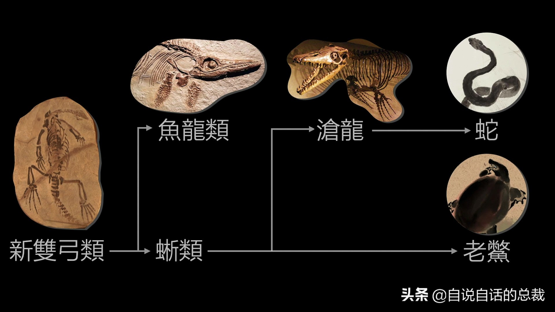 5种比巨齿鲨还恐怖的海怪，背后隐藏着一个人类起源的故事