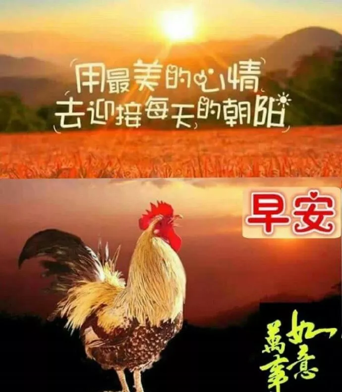 人生相遇，无言心温暖；真诚友谊，不语心相知，早安