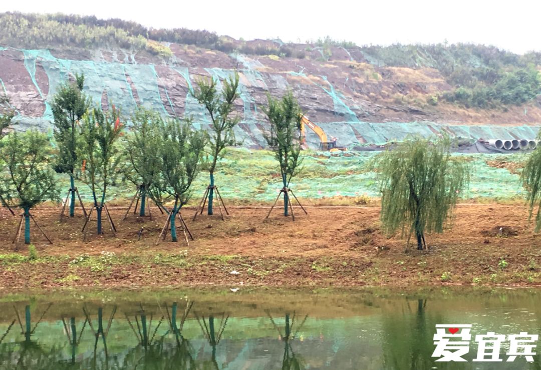 激动！成都七中要来宜宾修校区，宜宾开启学校大pk模式！