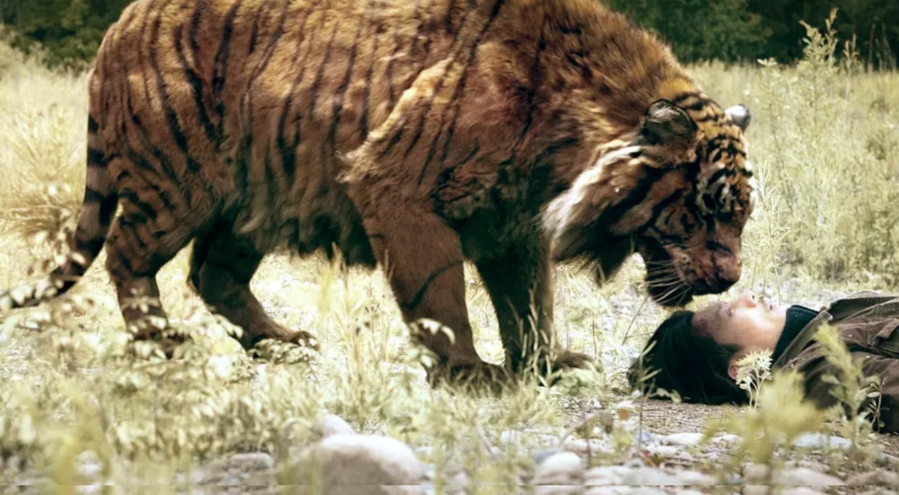 实力阵容 深刻内涵,《老虎》如此惊险又如此深情