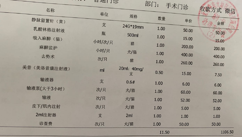 从2000到499，英短蓝猫波波亚的坎坷绝育记