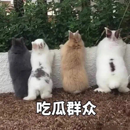 怎么会骗你呢，骗你是小猪