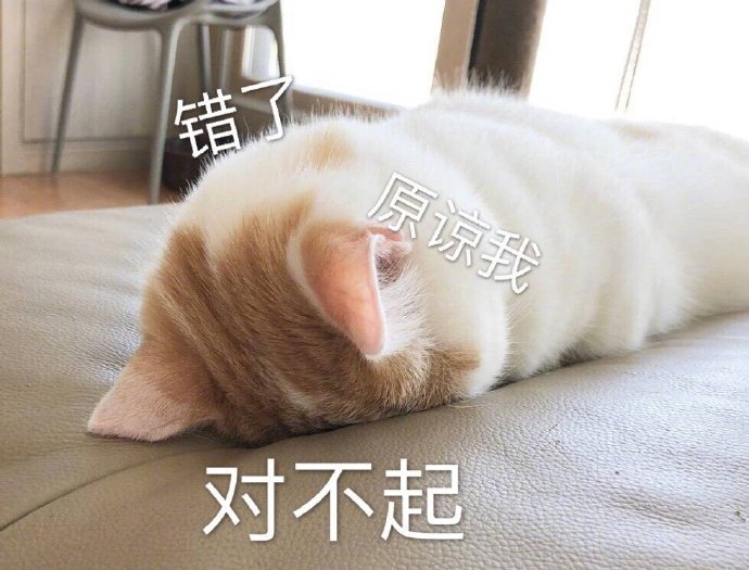 猫咪表情包25张｜我这一巴掌下棋你可能会死