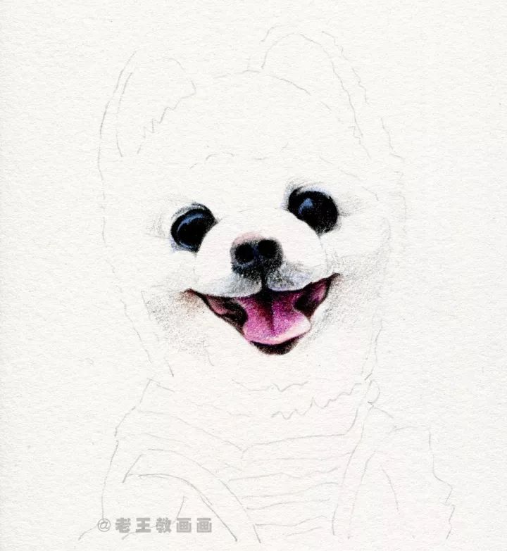 手绘网红狗狗,超级详细的画画步骤,萌死了!