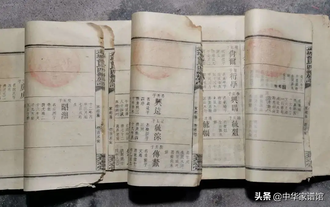 家谱如何制作？怎么排？五步搞定