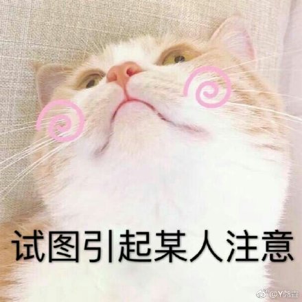 猫咪表情包：骗你是小猫