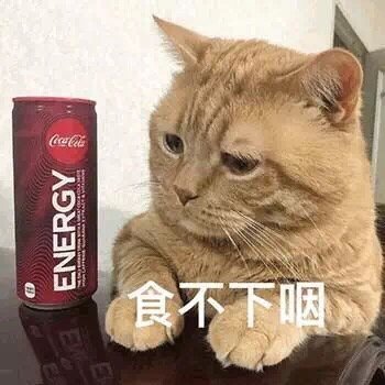 猫咪表情包合集｜我太难了，我想静静