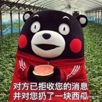熊本熊表情包：对方已拒收您的消息，并对您投去嫌弃的目光