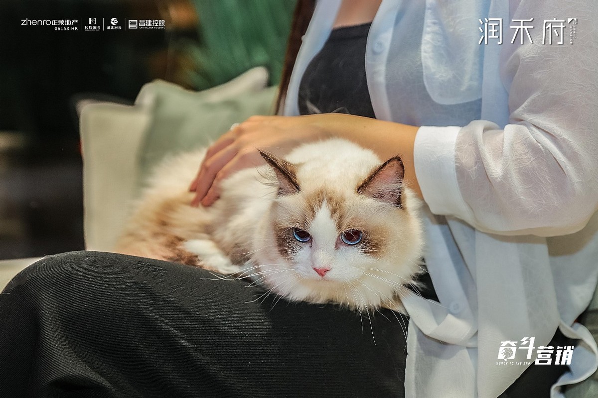 7天！1795组线上来访！热攀一城高峰，润禾府热爆