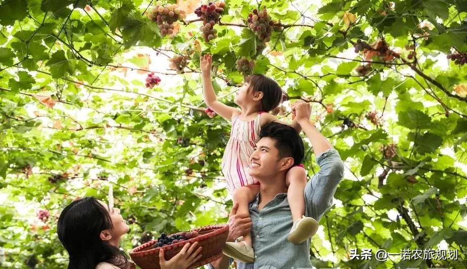 8大模式12种类型，教你打造“爆款”休闲农业