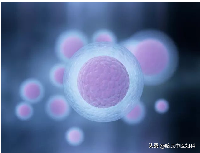 子宫内膜薄、卵泡长得慢、月经量少！想怀孕，不妨试试这样调理