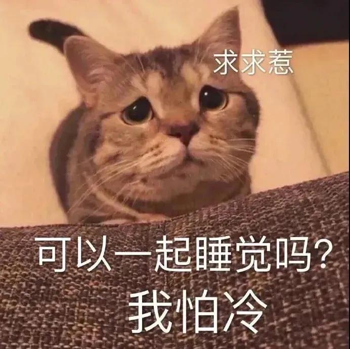 表情包：心情写在脸上