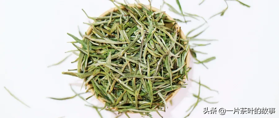 十大名优绿茶背后的传说，你知道几个？