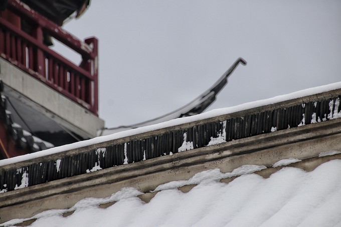 南京下了雪啊，就成了金陵！南京三日游记