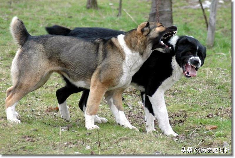 一个真实的土库曼斯坦：和外界宣传的南辕北辙，颠覆你的三观