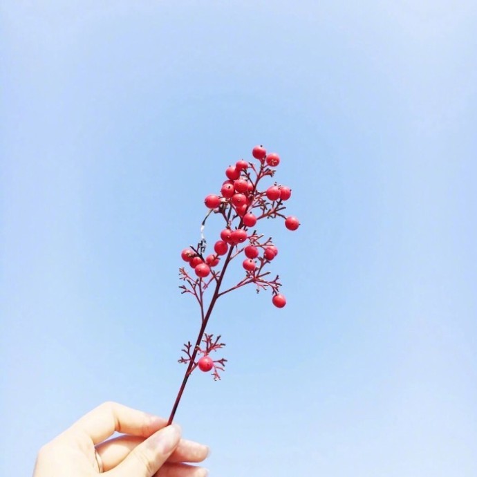 早安暖心话短句朋友早安祝福语（精选50句）图片