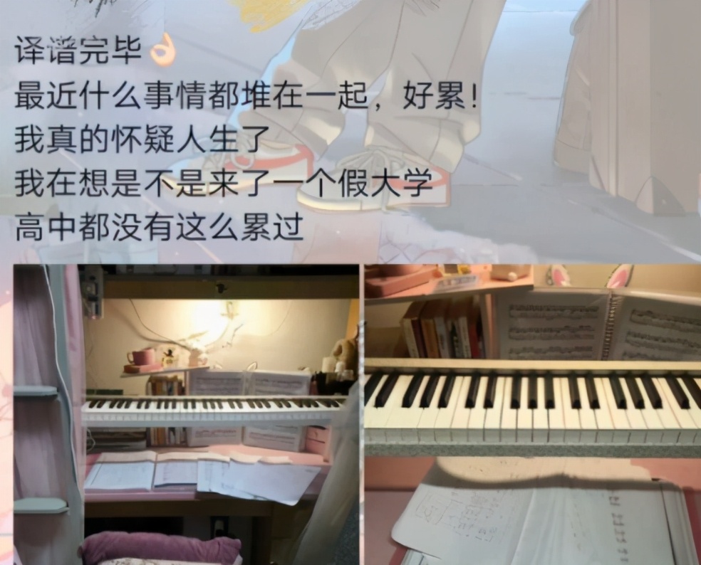 不同专业毕业论文“查重”，法学专业法条标红，会计专业也不好过