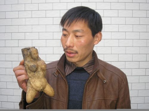 在我国很多神话故事中,小说《灵魂摆渡》中也有提及,食用太岁可长生不