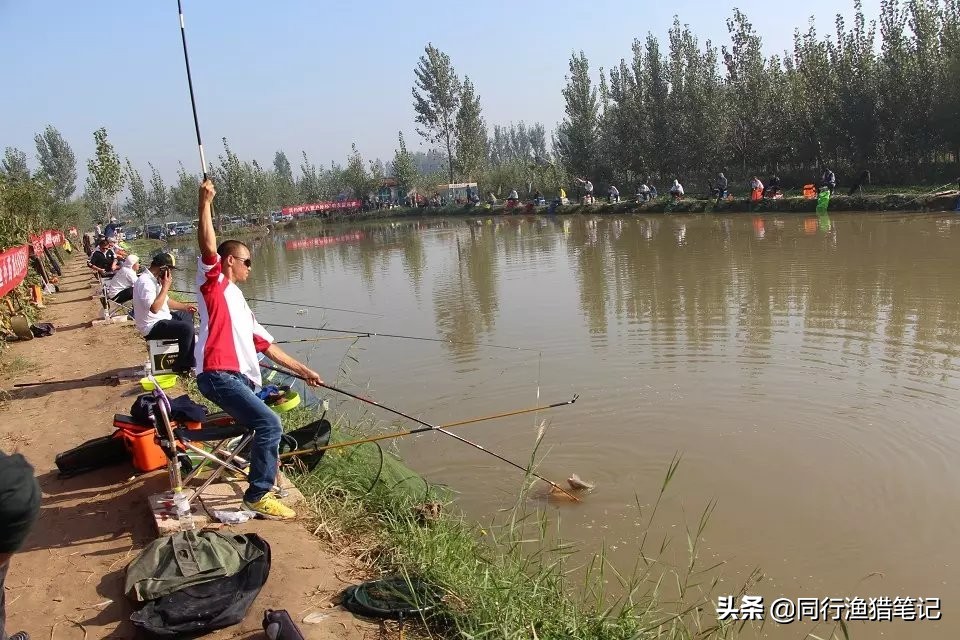 为什么禁止红虫钓鱼？红虫本无罪，却替别人背起了黑锅