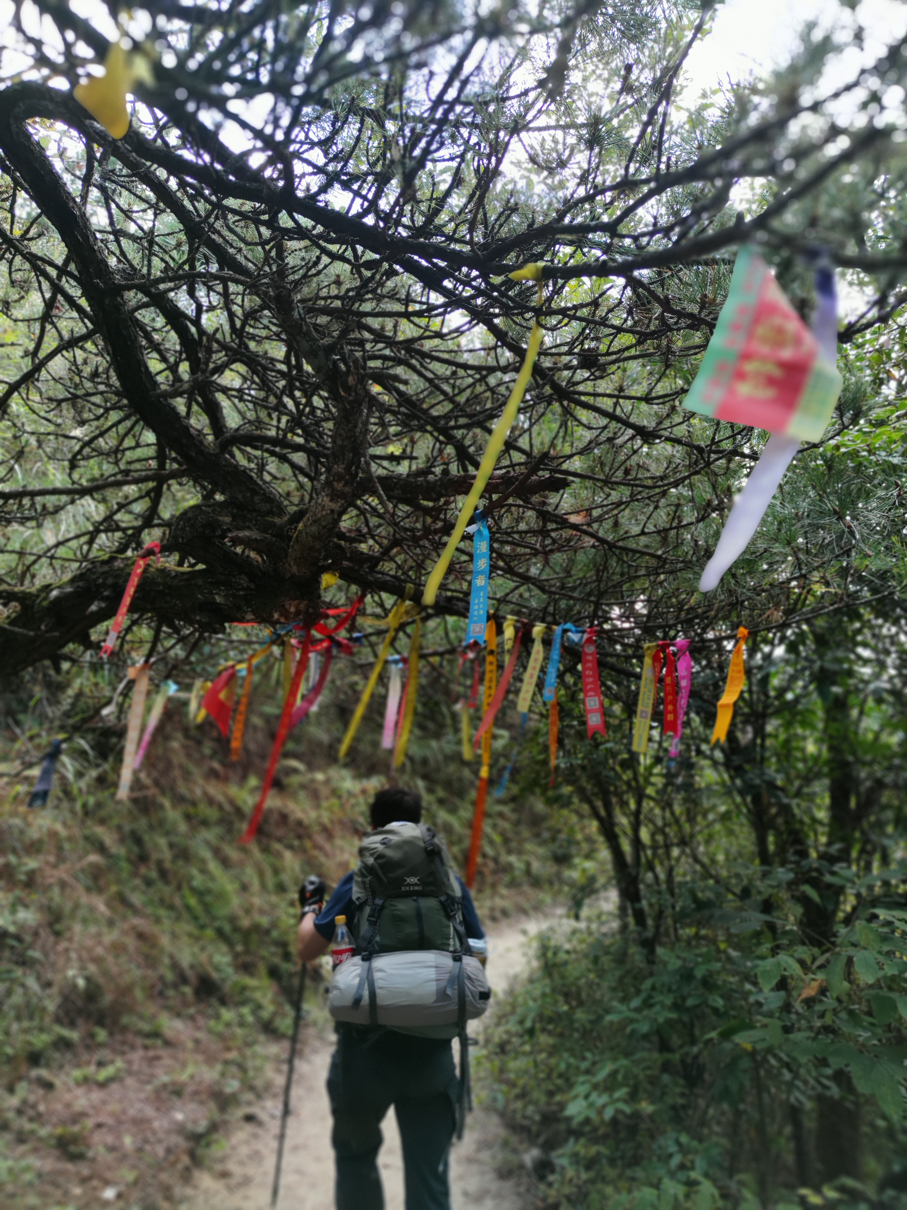 游记｜武功山太美了，一定要去一次！搭一次帐篷，看一次日出