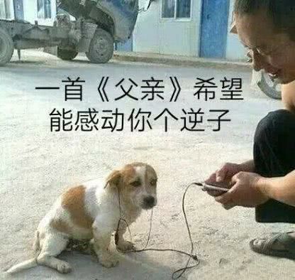 宿舍里的温馨时光与欢声笑语