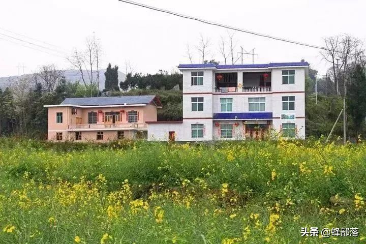 农村住宅建设新规来袭，楼层不能超过3层？部分地方已出明确规定