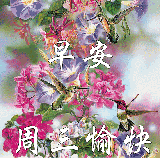 星期三最新版早安短信问候祝福语大全 把最美的祝福送给你图片